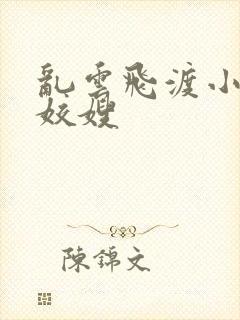 乱云飞渡小说之姣嫂