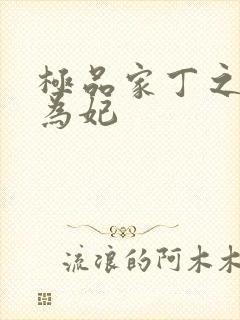 极品家丁之册母为妃