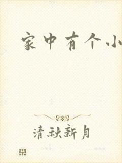 家中有个小姨子