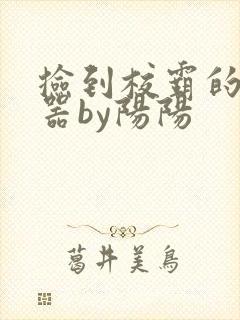 捡到校霸的遥控器by阳阳