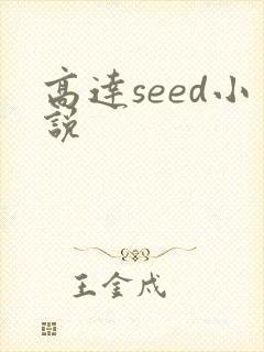 高达seed小说