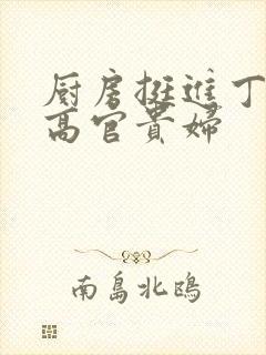 厨房挺进丁字裤高官贵妇