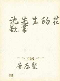 沈先生的花式调数书