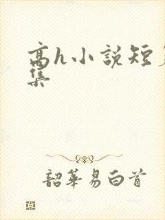 高h小说短篇合集