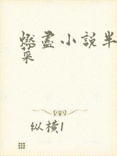 燃尽小说半截白菜