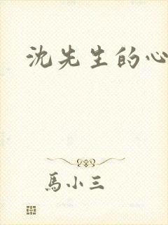 沈先生的心头宝