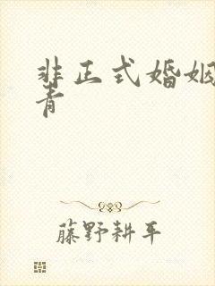 非正式婚姻雾里青