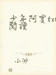少年阿宾txt阅读