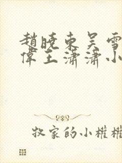 赵晓东吴雪晴郑伟王潇潇小说名字