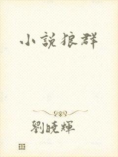 小说狼群