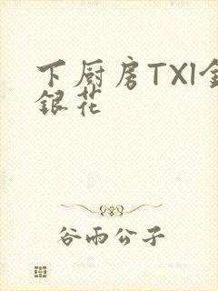 下厨房TXl金银花