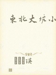 东北大坑小说
