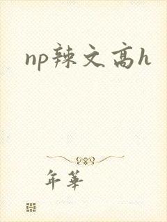 np辣文高h