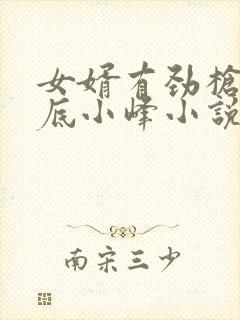 女婿有劲枪枪到底小峰小说