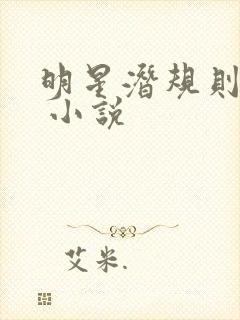 明星潜规则之皇 小说