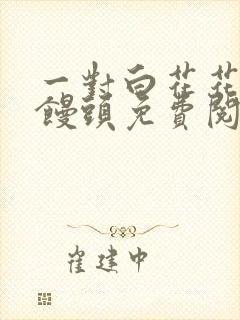 一对白花花的大馒头免费阅读