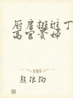 厨房挺进丁字裤高官贵妇