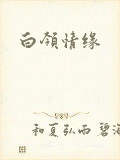 白领情缘