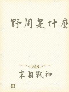 野周是什么意思