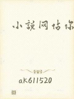 小说网站你懂的