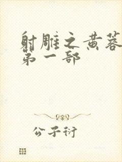 射雕之黄蓉新传第一部