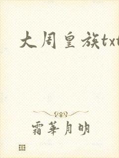 大周皇族txt