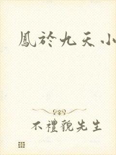 凤于九天小说