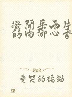 拨开岳两片肥嫩的肉御心香帅