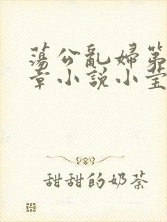 荡公乱妇第51章小说小莹