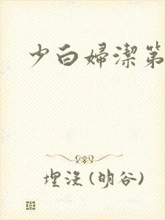 少白妇洁第二部