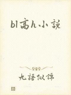 bl高h小说