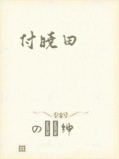 付晓田