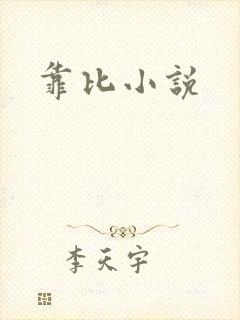 靠比小说