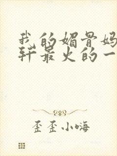 我的媚骨妈妈林轩最火的一句