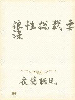狼性总裁要够了没