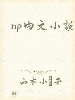 np肉文小说
