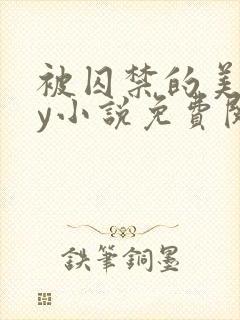 被囚禁的美人by小说免费阅读