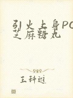 引火上身POP芝麻糖丸