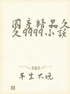 国产精品久久久久9999小说