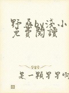 野桑by浅小说免费阅读