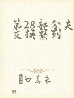第28部分夫妇交换系列