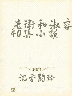 老卫和淑容1-40集小说