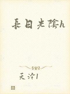 长日光阴h