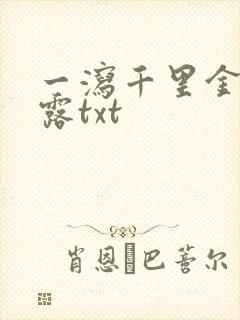 一泻千里金银花露txt