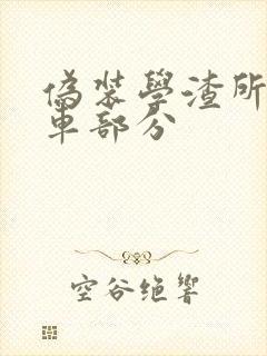 伪装学渣所有开车部分