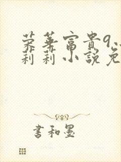 荣华富贵9小王莉莉小说免费阅读