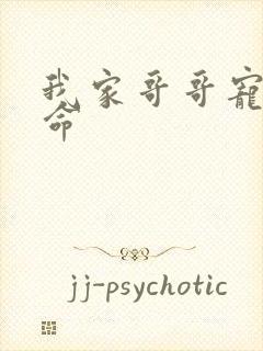 我家哥哥宠妹如命