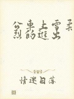 公车上雪柔被猛烈的进出