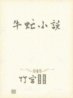牛虻小说
