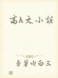 高h文小说